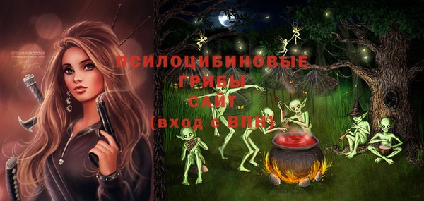 a pvp Алексин