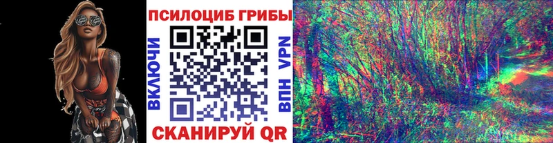ссылка на мегу сайт  Дмитровск  Псилоцибиновые грибы прущие грибы 